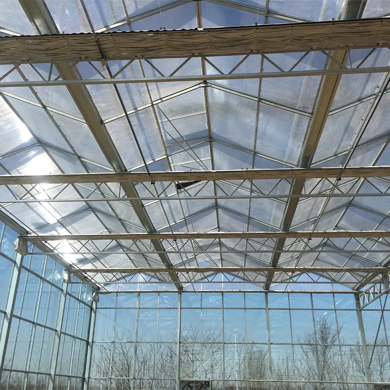 Теплица из сотового поликарбоната и стекла