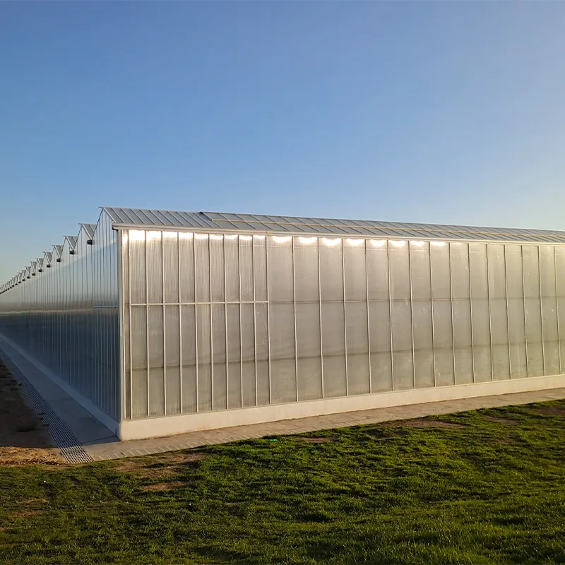 Теплица из сотового поликарбоната с алюминиевым водостоком