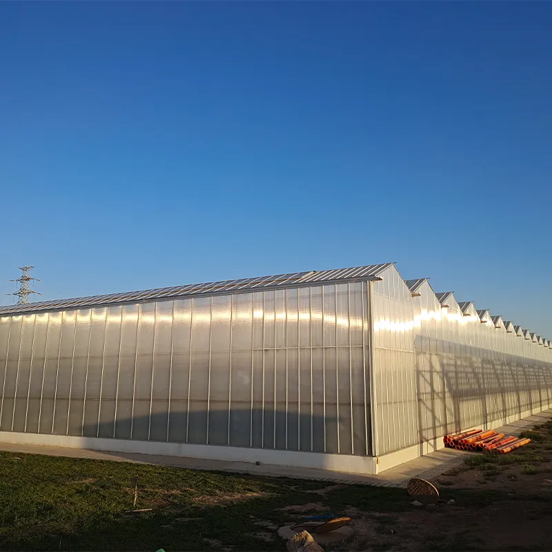 Теплица из сотового поликарбоната с алюминиевым водостоком