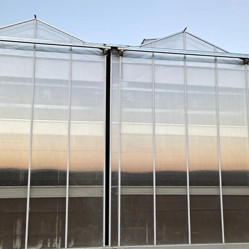 Теплица из сотового поликарбоната с алюминиевым водостоком