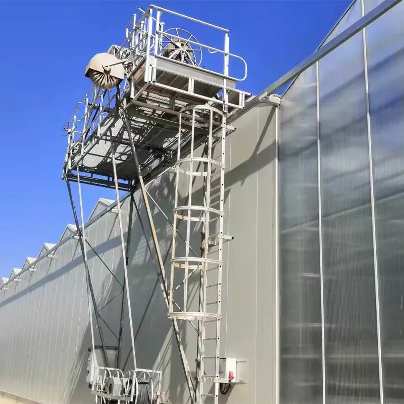 Теплица с установленной моечной машиной на крыше