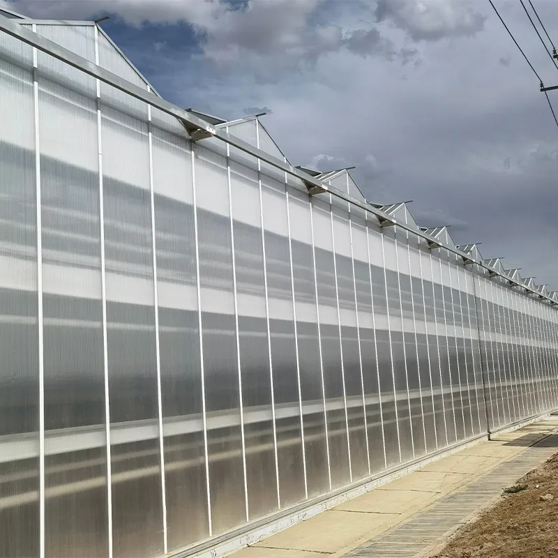 Теплица с установленной моечной машиной на крыше