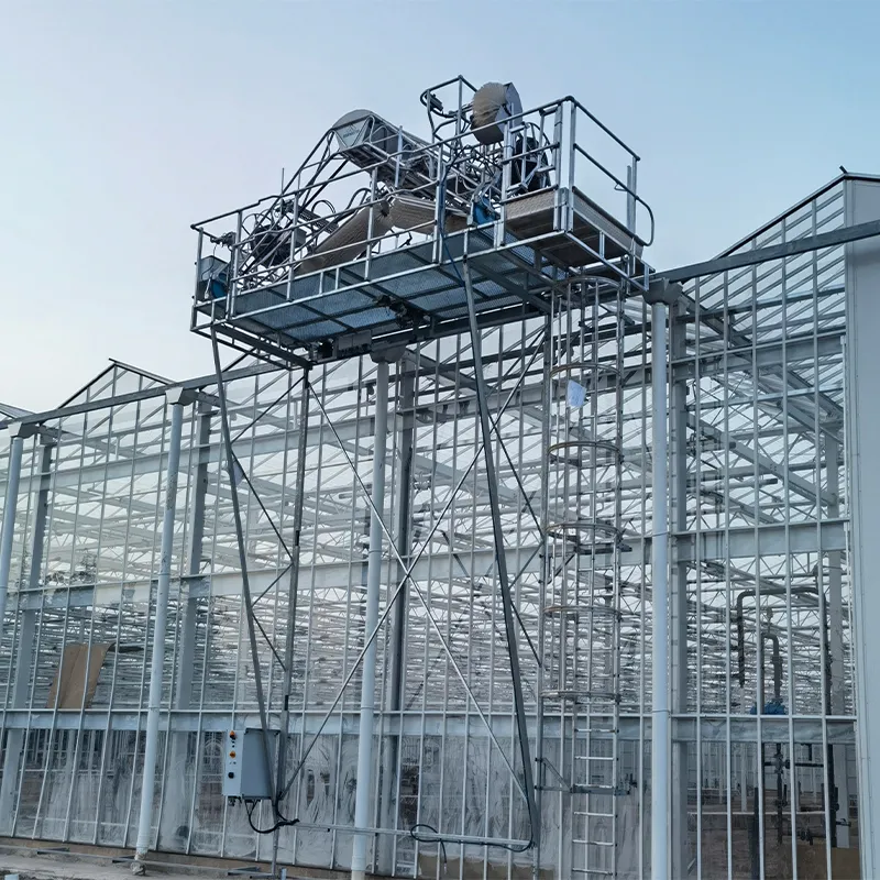 Теплица с установленной моечной машиной на крыше