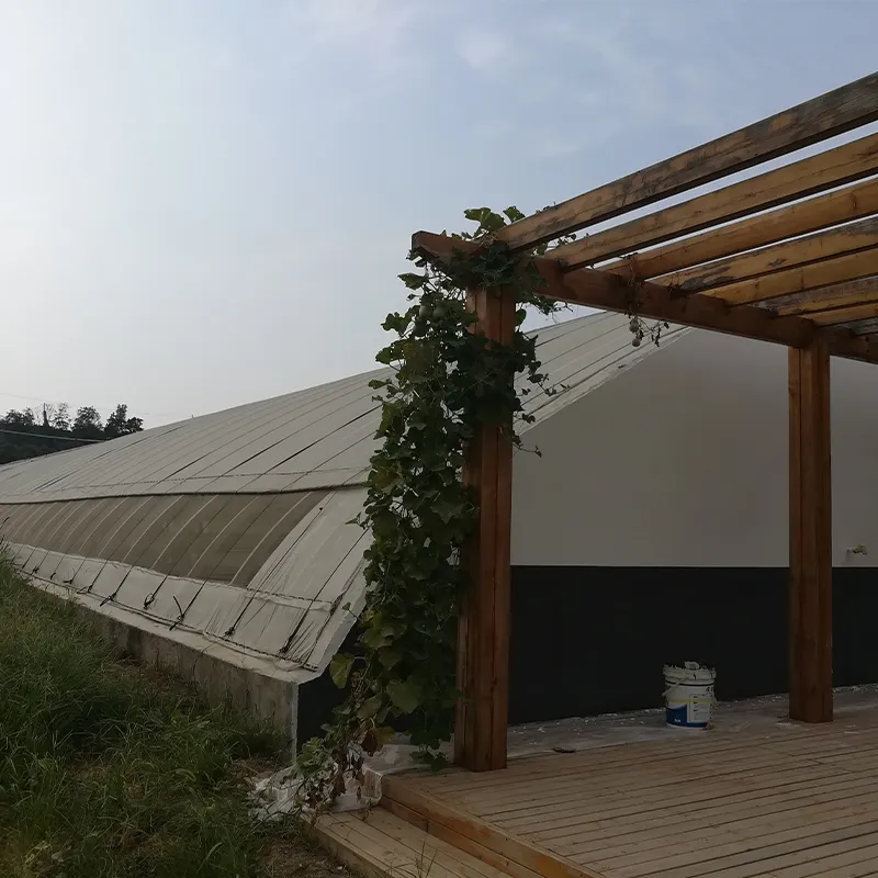 Туристическая солнечная теплица