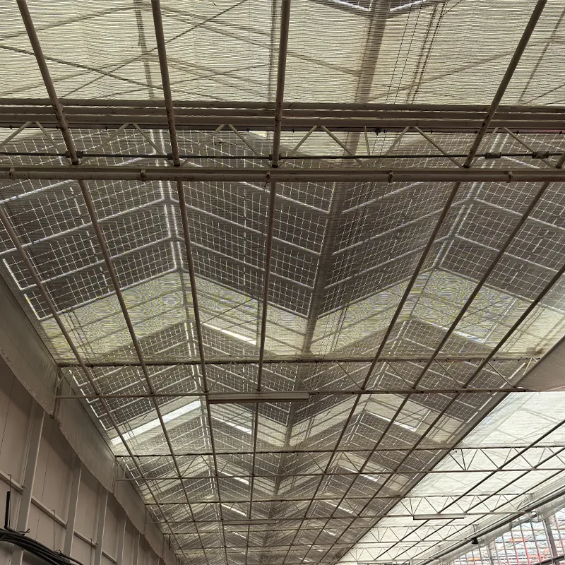 Фотоэлектрическая стеклянная теплица