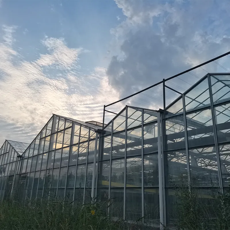 Экологический ресторан