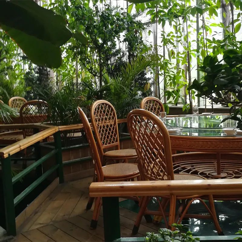 Экологический ресторан