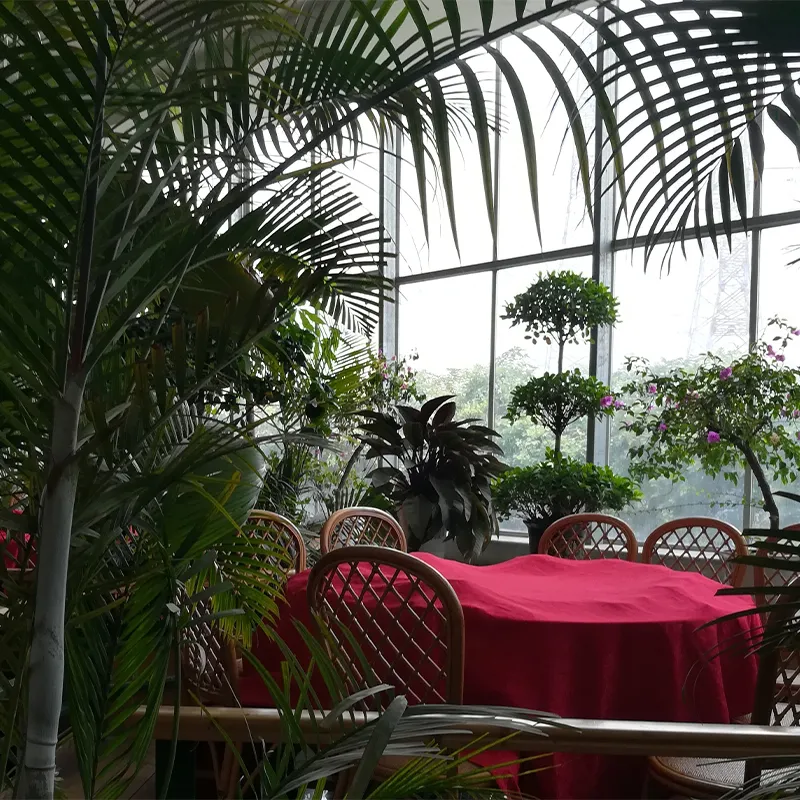 Экологический ресторан