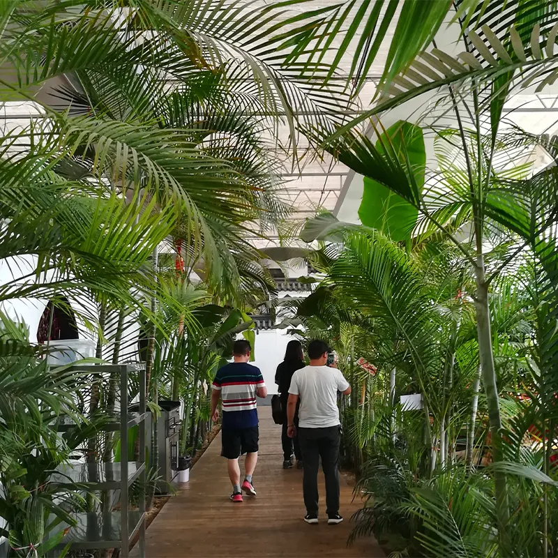 Экологический ресторан