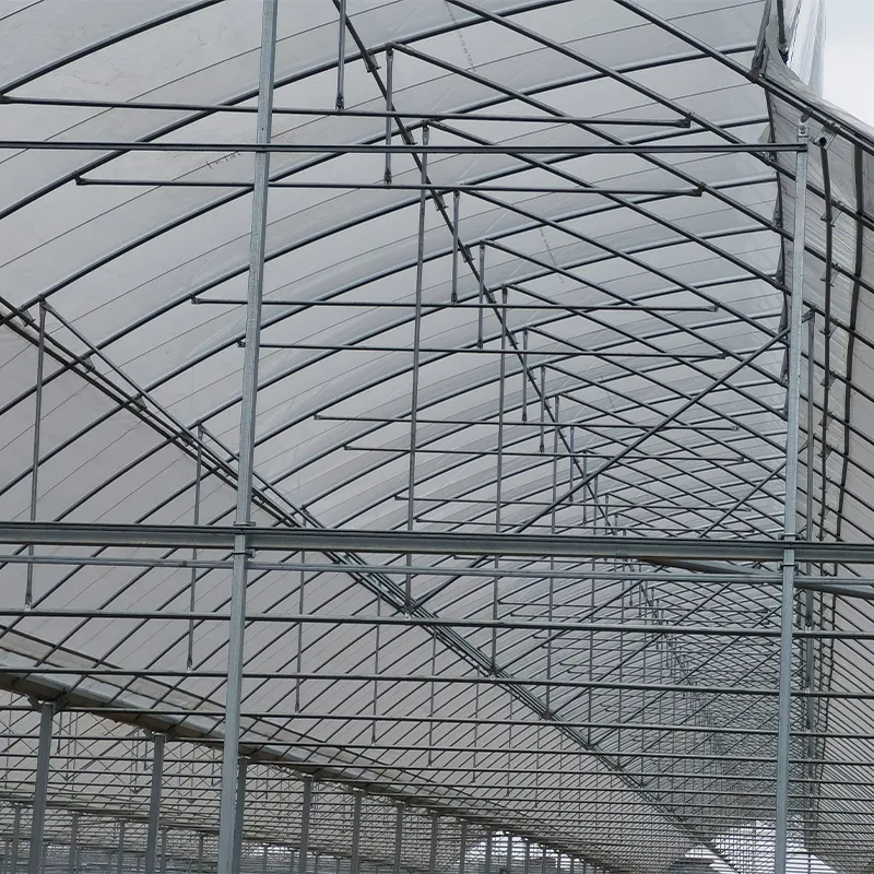 Разница между национальным стандартом и негосударственным стандартом на алюминий для теплиц-Mingxin Greenhouse Aluminum