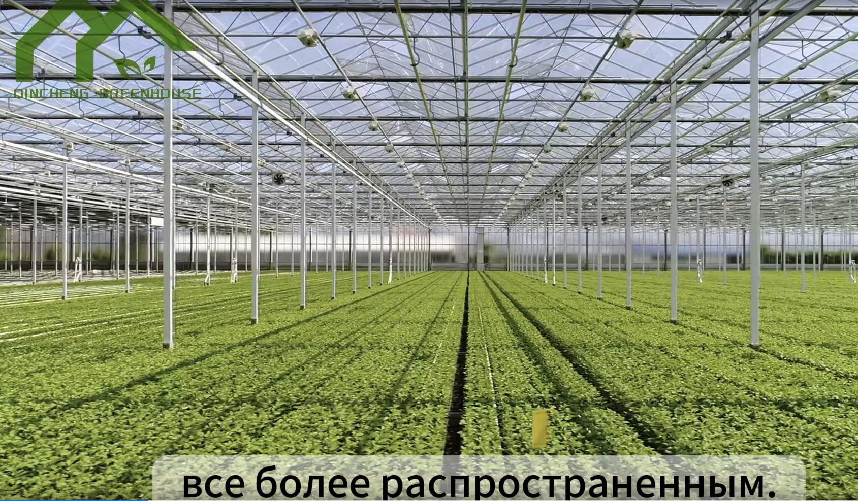 Давайте вместе узнаем об интеллектуальных стеклянных теплицах!