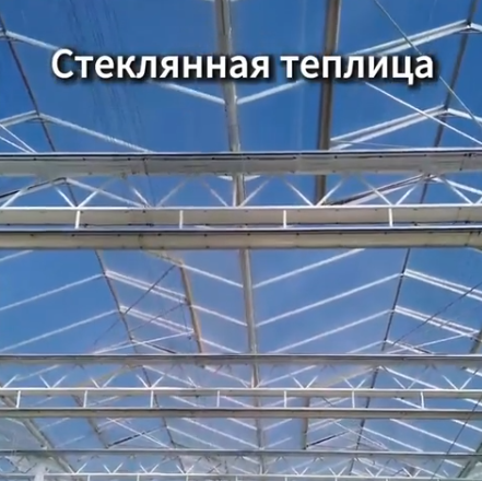 Стеклянная теплица