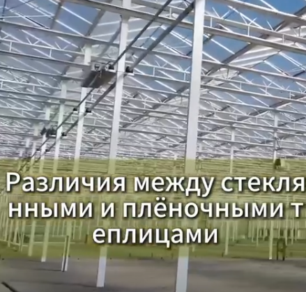 PазлиЧИЯмеЖдустеKлЯHHЫMИИПЛеHОЧHЫMИTeплицаMИ