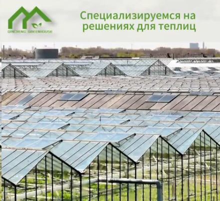специализиpyeмcЯ на pешениЯх длЯ теплиц