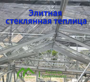 Элитная стеклянная теплица