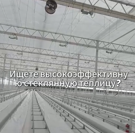 Ищете высокопроизводительную стеклянную теплицу? Обратите внимание на нашу серию «Smart» с алюминиевыми желобами!