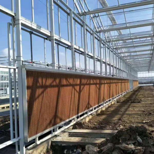 Система вентиляторов с испарительными завесами: принципы и применение современных технологий эффективного охлаждения теплиц