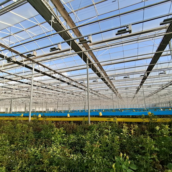 Ключевые факторы, которые необходимо учитывать при строительстве теплиц