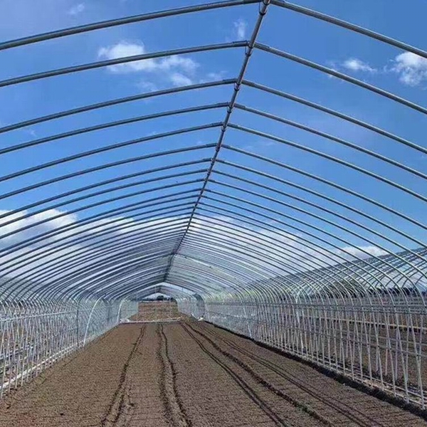 Стальные трубы, широко используемые в теплицах