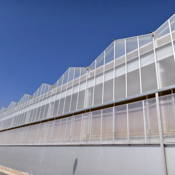 Что такое теплица для рассады? Что такое теплица для сельскохозяйственных нужд?