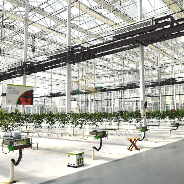 Анализ способов обогрева теплиц