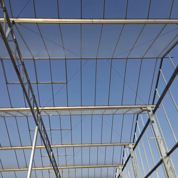 Ключевые моменты повседневного обслуживания тепличных сооружений