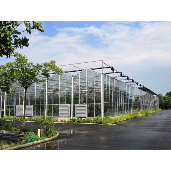 Что следует учитывать при строительстве теплиц