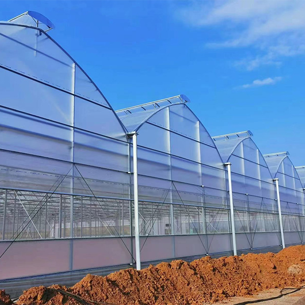 Анализ методов снижения влажности в тепличных комплексах