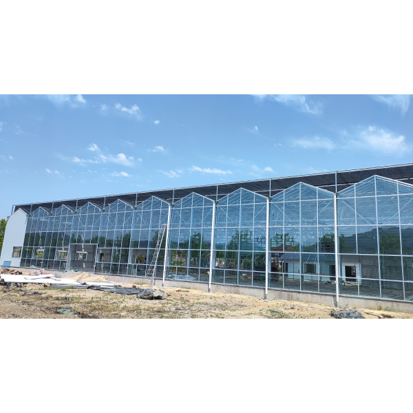 Обзор высококачественных стеклянных теплиц из Нидерландов