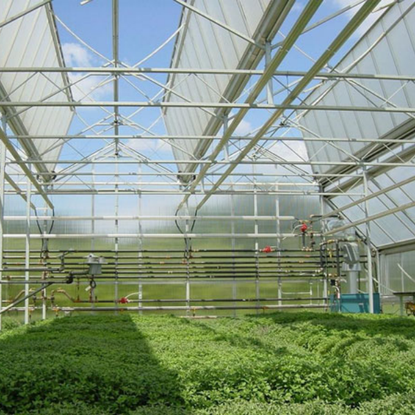 Распространенные способы открывания окон в стеклянных теплицах