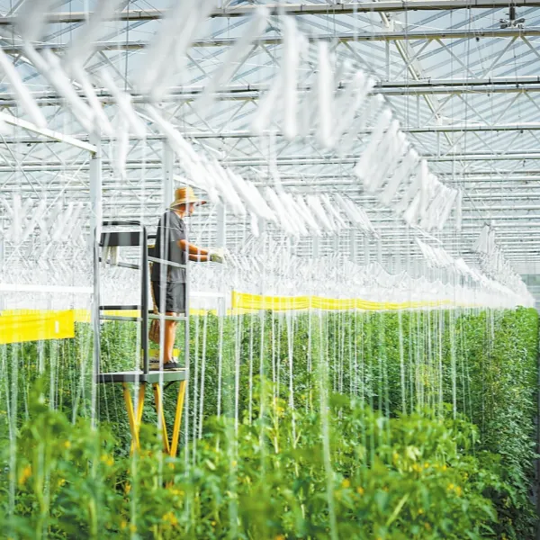 Как работает теплица?