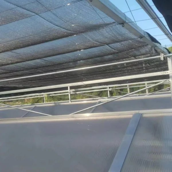 Анализ основных принципов вентиляции и охлаждения теплиц