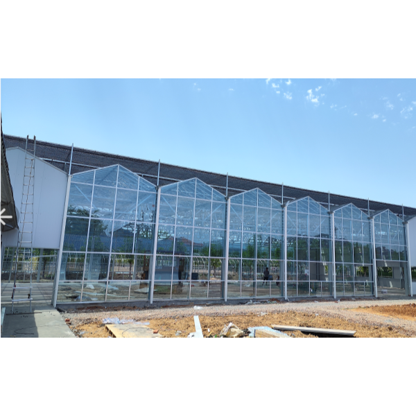 Стеклянные теплицы: создание эффективных и долговечных современных помещений для выращивания растений