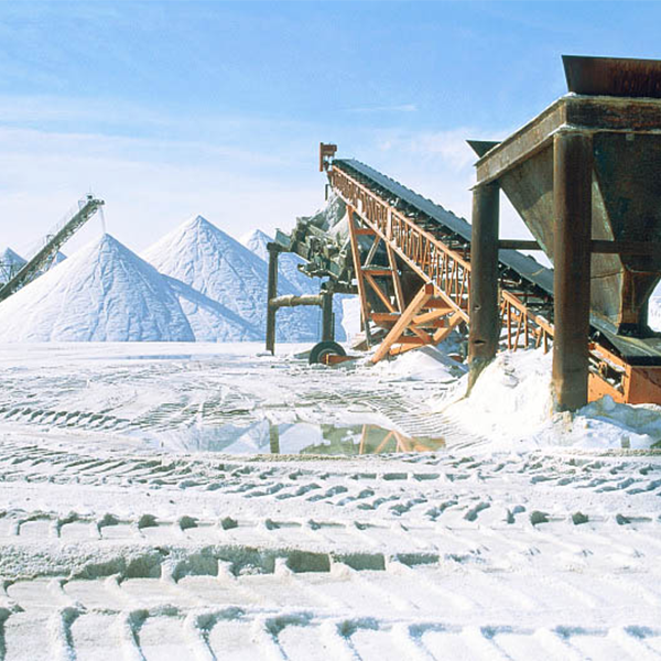 Морозостойкая конвейерная лента