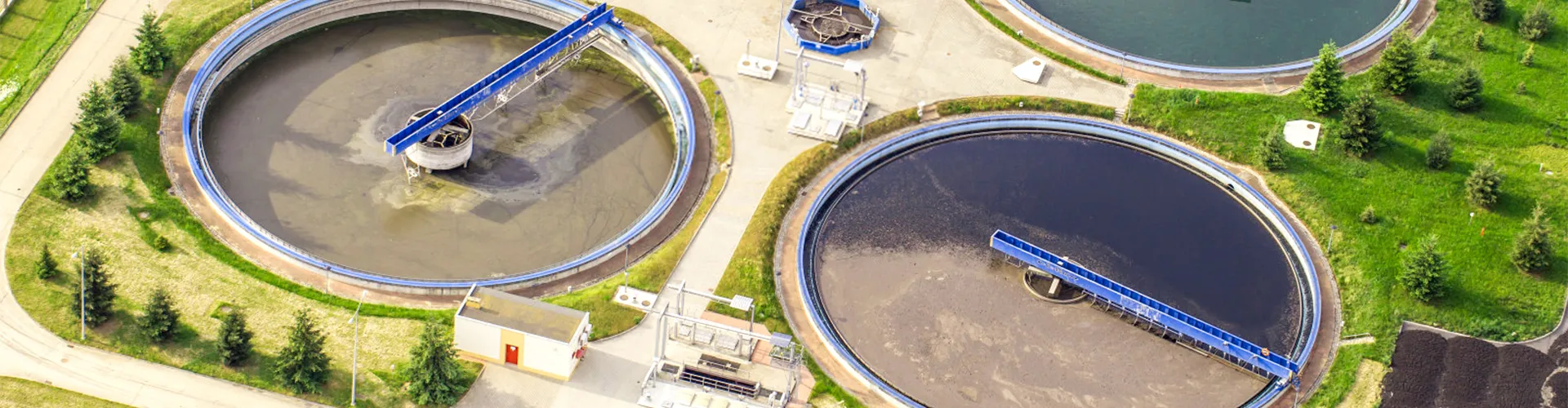 Протеиновая промышленность