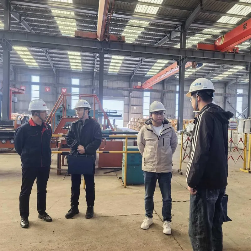 Инспекция для повышения эффективности и укрепления ответственности: Муниципальное управление по чрезвычайным ситуациям посетило нашу компанию для проведения специальной проверки безопасности производства в конце года
