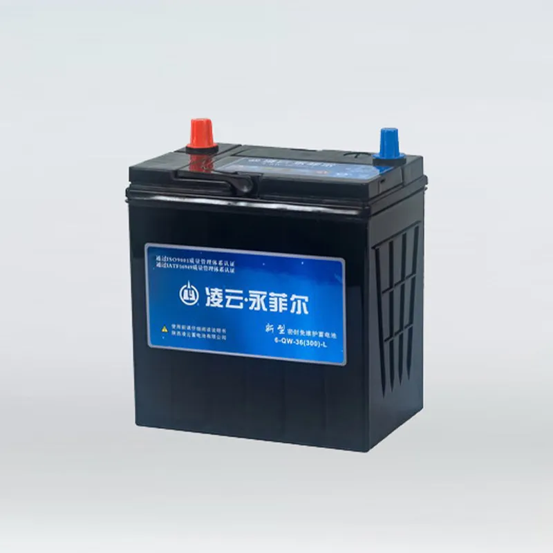 Аккумуляторная батарея 6-QW-36(300)