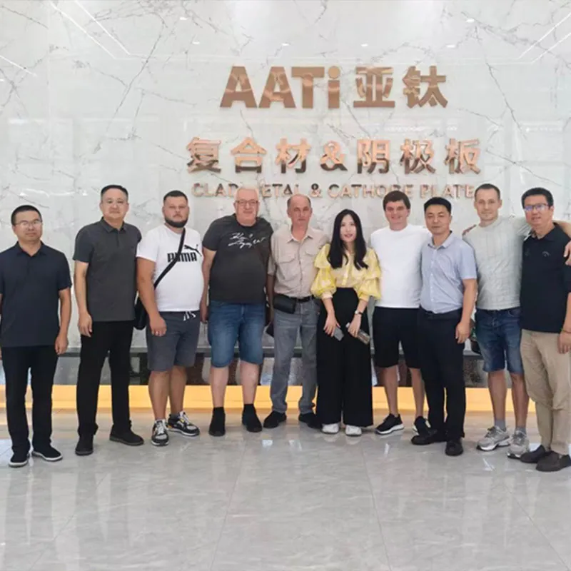 Визит делегации украинского медеэлектролитного завода