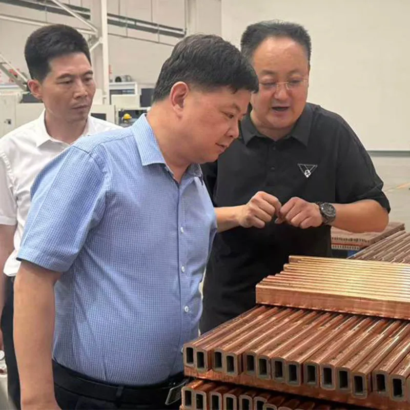 Провинциальное стратегическое содействие