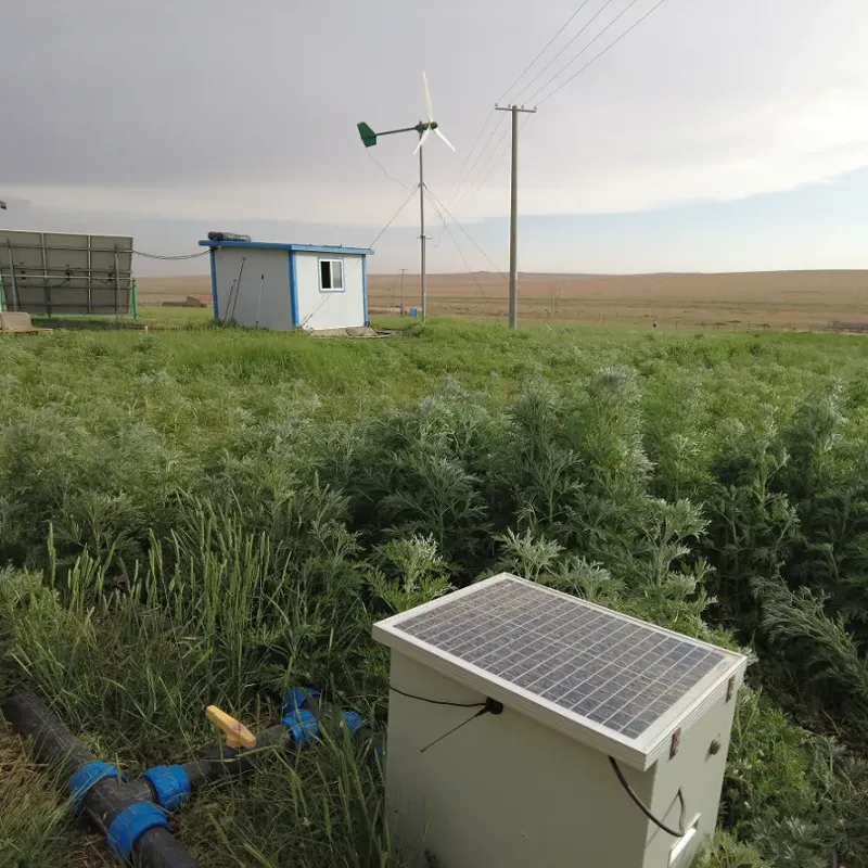 Баланс между экологией и средствами к существованию! «Модель ведения сельского хозяйства» превратила 2500 акров песчаной земли обратно в пастбища