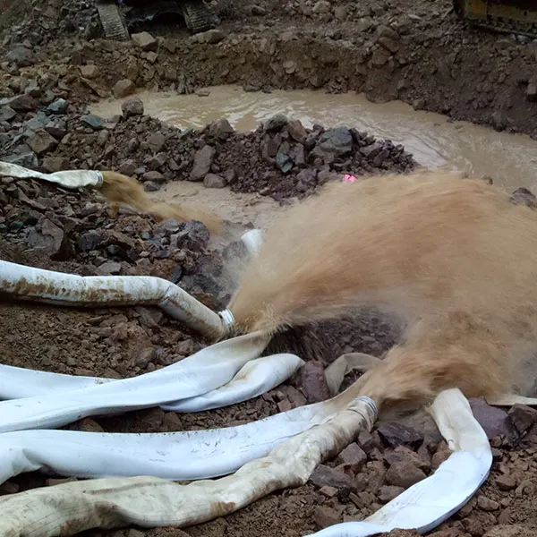 Мобильный насос для борьбы с наводнениями и спасательных операций