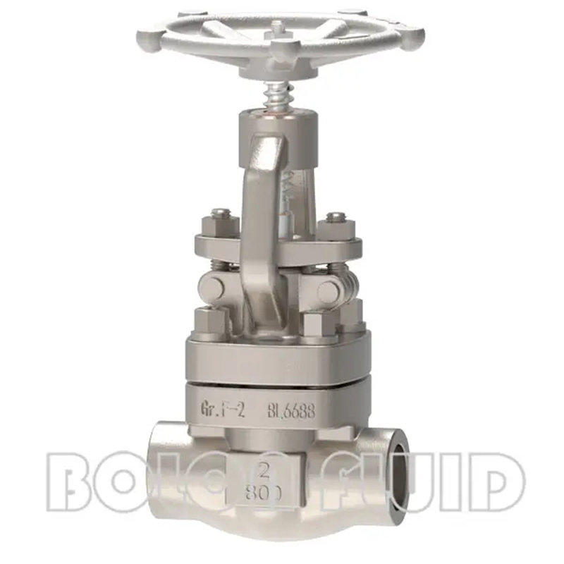 Кованый титановый запорный вентиль по стандарту API 602 B381 Gr.F-2