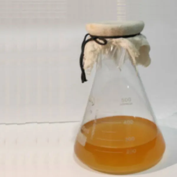 Микробиологический раствор для повышения нефтеотдачи