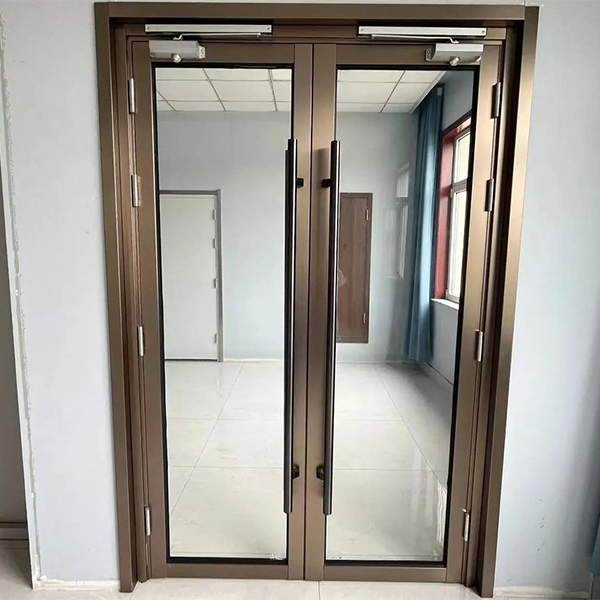 Стальная стеклянная дверь