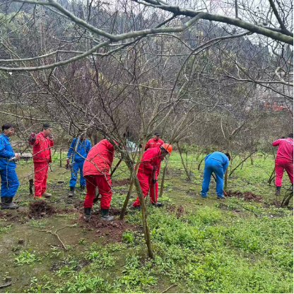 Посадка и защита зеленых насаждений демонстрируют ответственность;  предпринимает действия по созданию нового экологического ландшафта – ООО Сычуань Шухунъюе Энергетическая Технология проводит акцию по посадке деревьев, приуроченную ко Дню посадки деревьев.