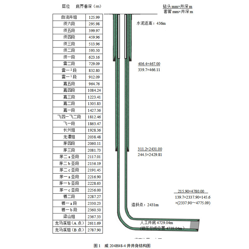 Жидкость для ремонта скважин с микропузырьками — пример применения на скважине Вэй 204H48-4