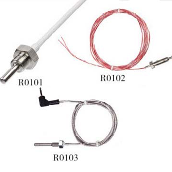 R0101
