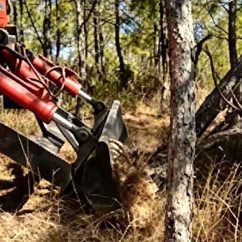 Зимняя подготовка добровольной лесопожарной команды Цанпулин в Ляншане: полевые боевые учения с полным комплектом крупногабаритной специальной техники