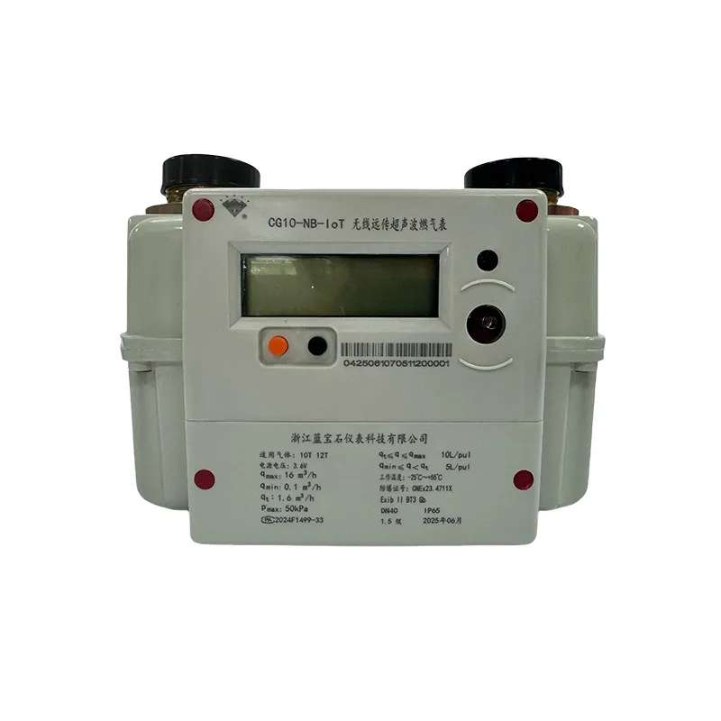 Бытовой ультразвуковой газовый счетчик – CG2.5