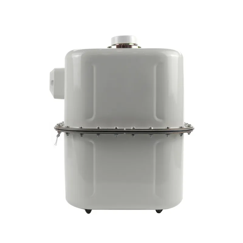 Коммерческий мембранный газовый счетчик G25